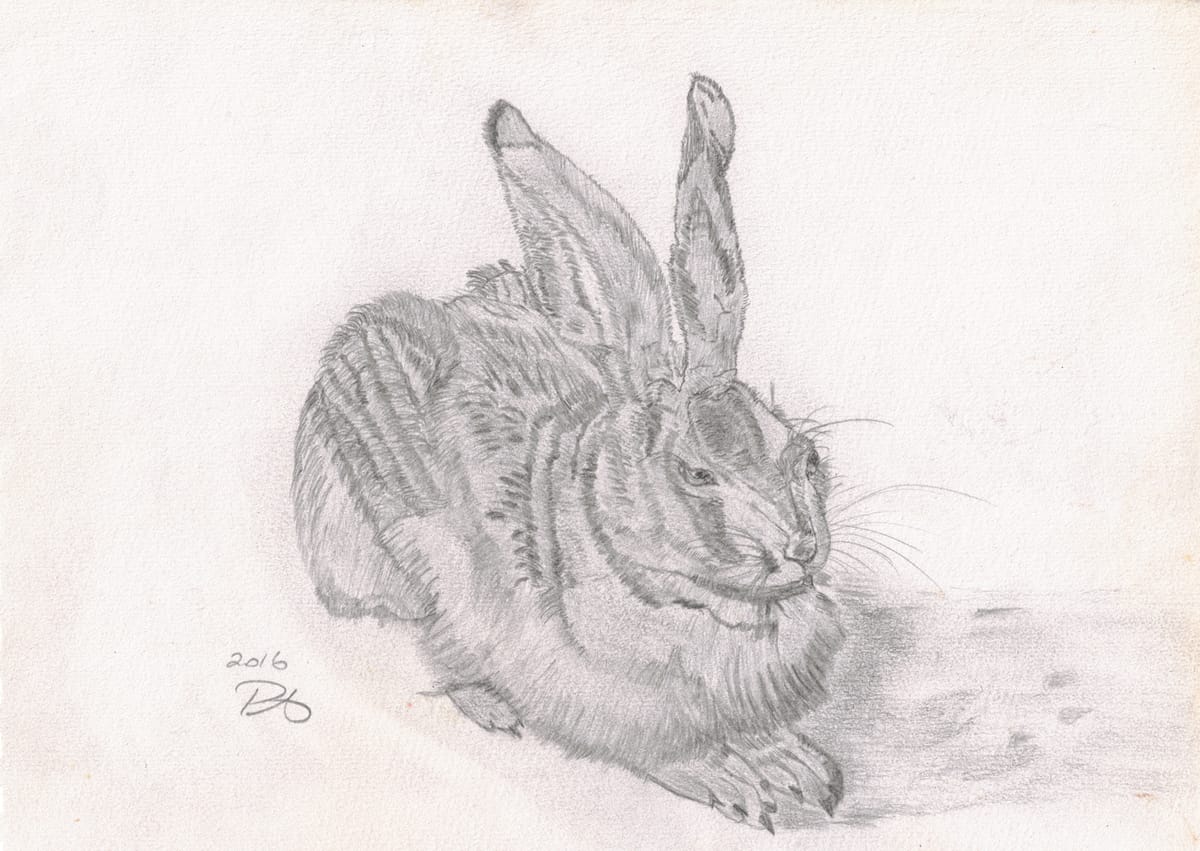 Bunny