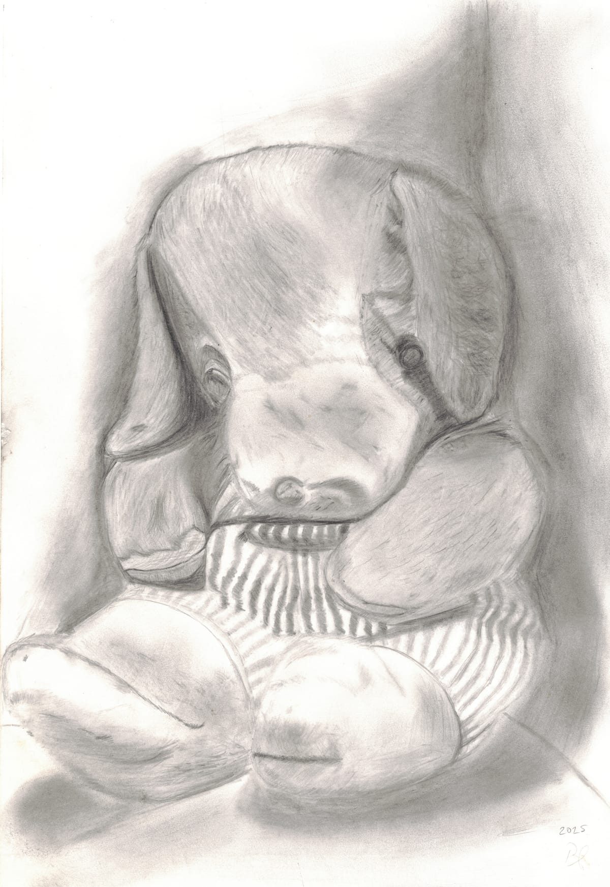 Teddy